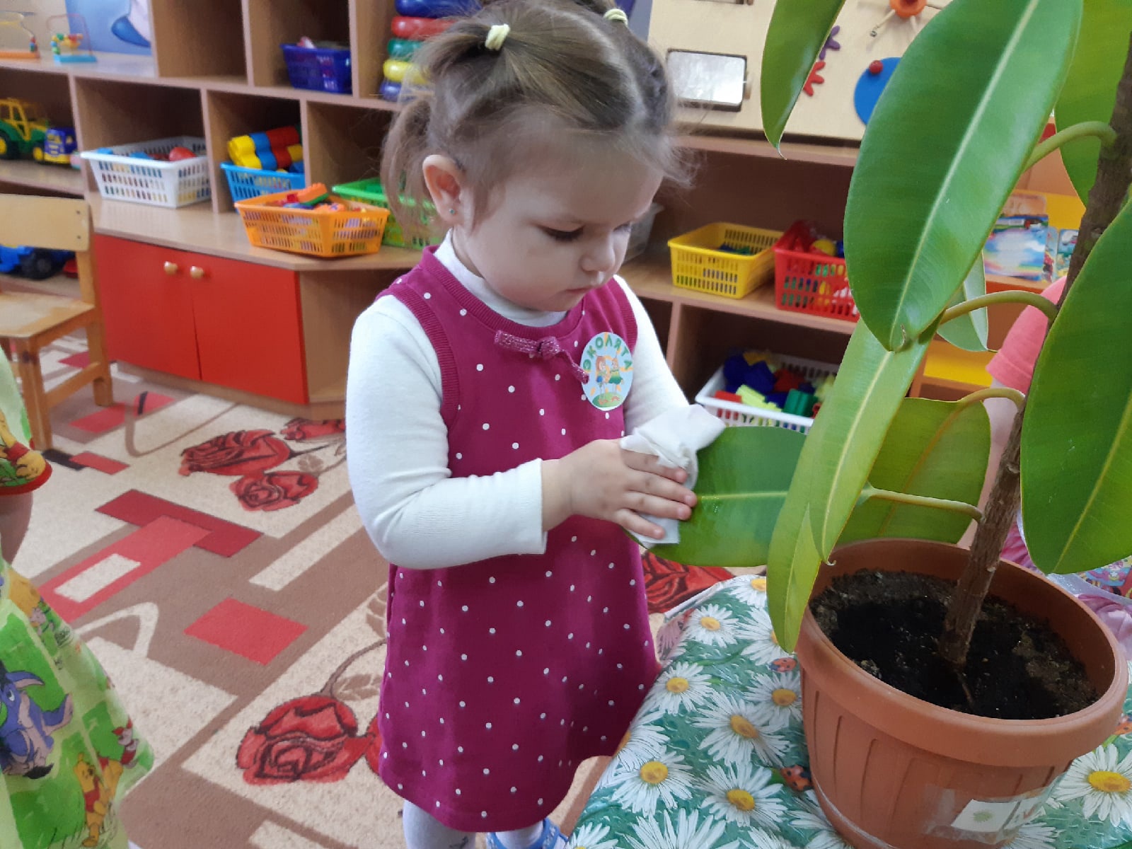 День Эколят прошёл в детских садах Волосовского района